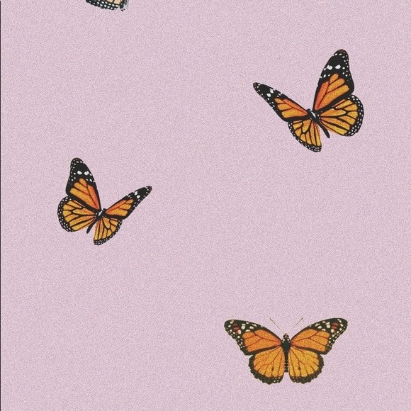 Meet your Posher, Sonia - Picture 1 of 1